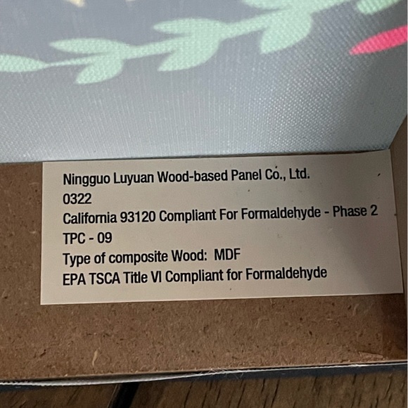 Encanto, Set of 2 Canvas Picture Frames, Mirabel & Bruno, 9.5x13 Inches, Disney - Picture 5 of 8